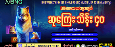 အထူး အနိုင်ရရှိမှု အစီအစဉ်